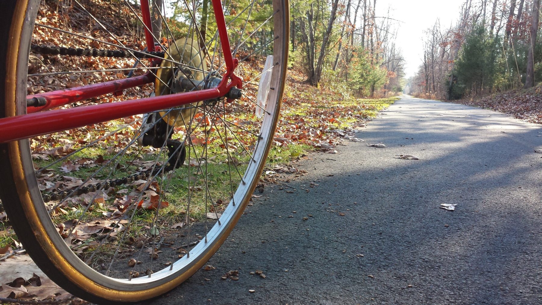A New England bike trail in late fall.